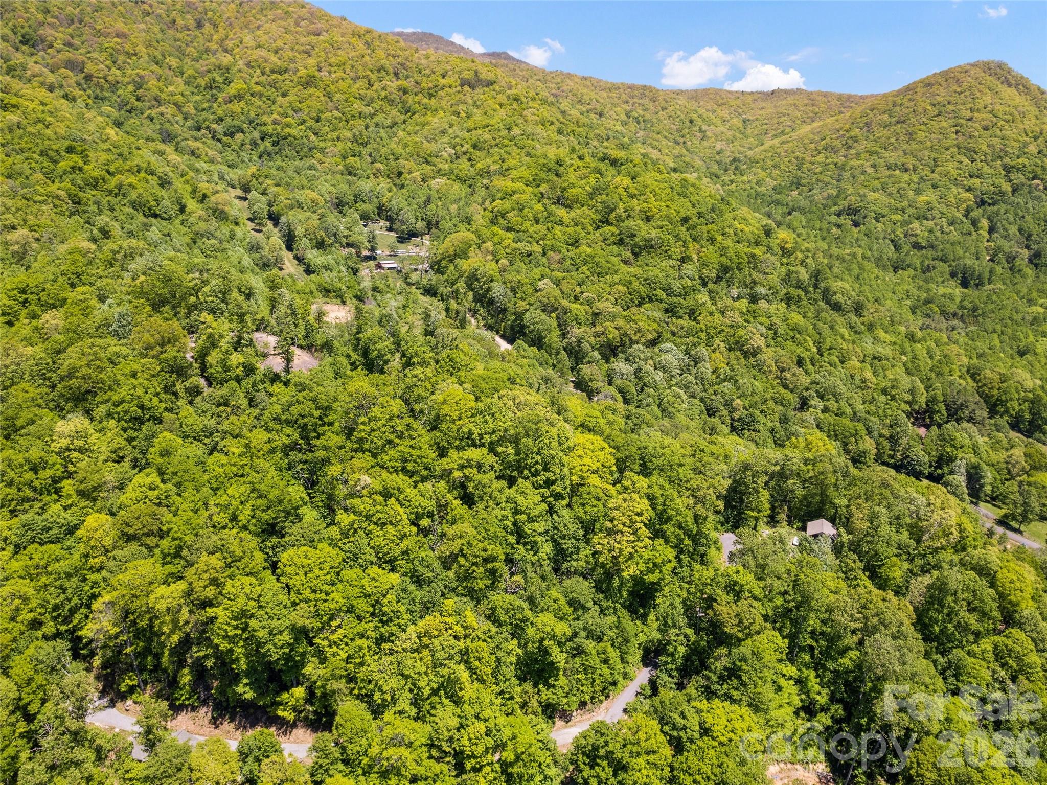 00 Triple Creek Drive 43