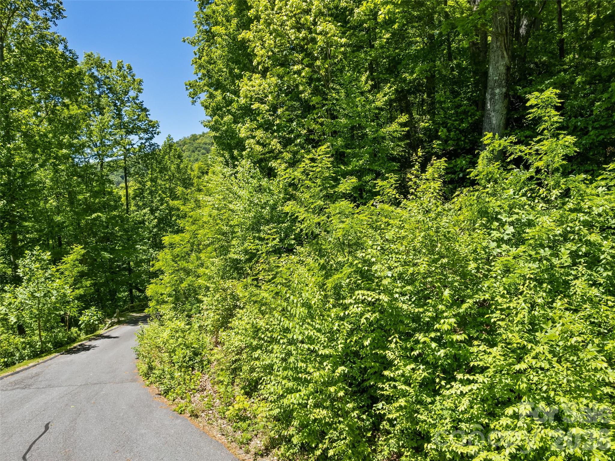 00 Triple Creek Drive 43