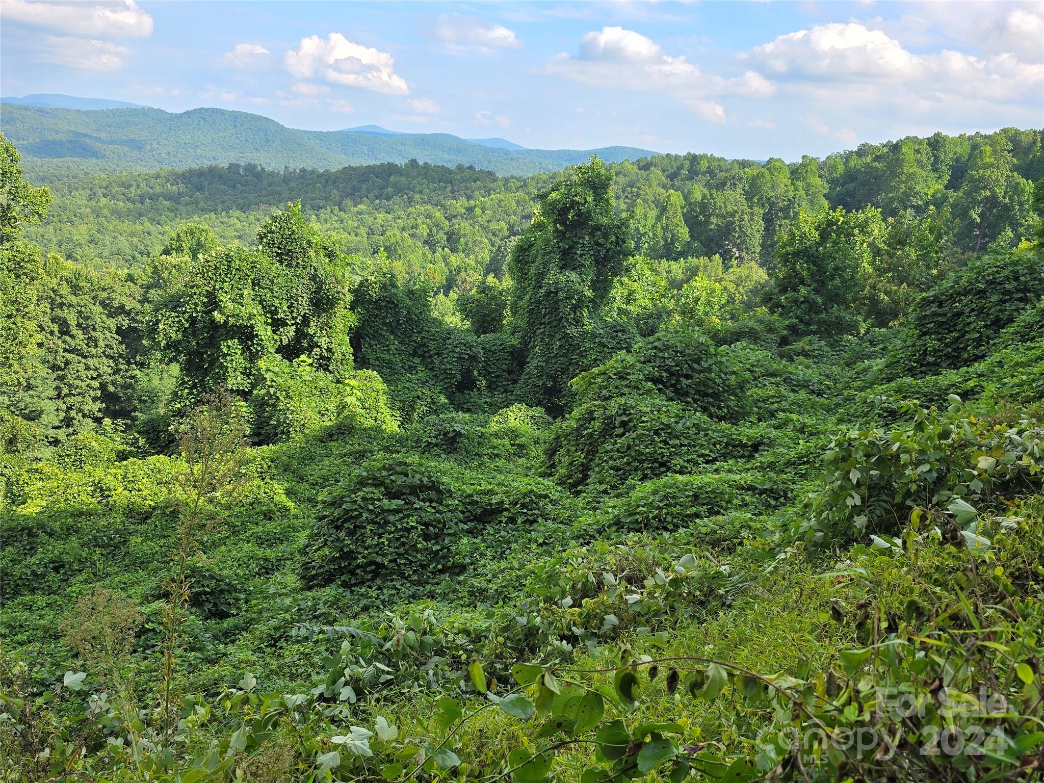 Cobblestone Village - Land