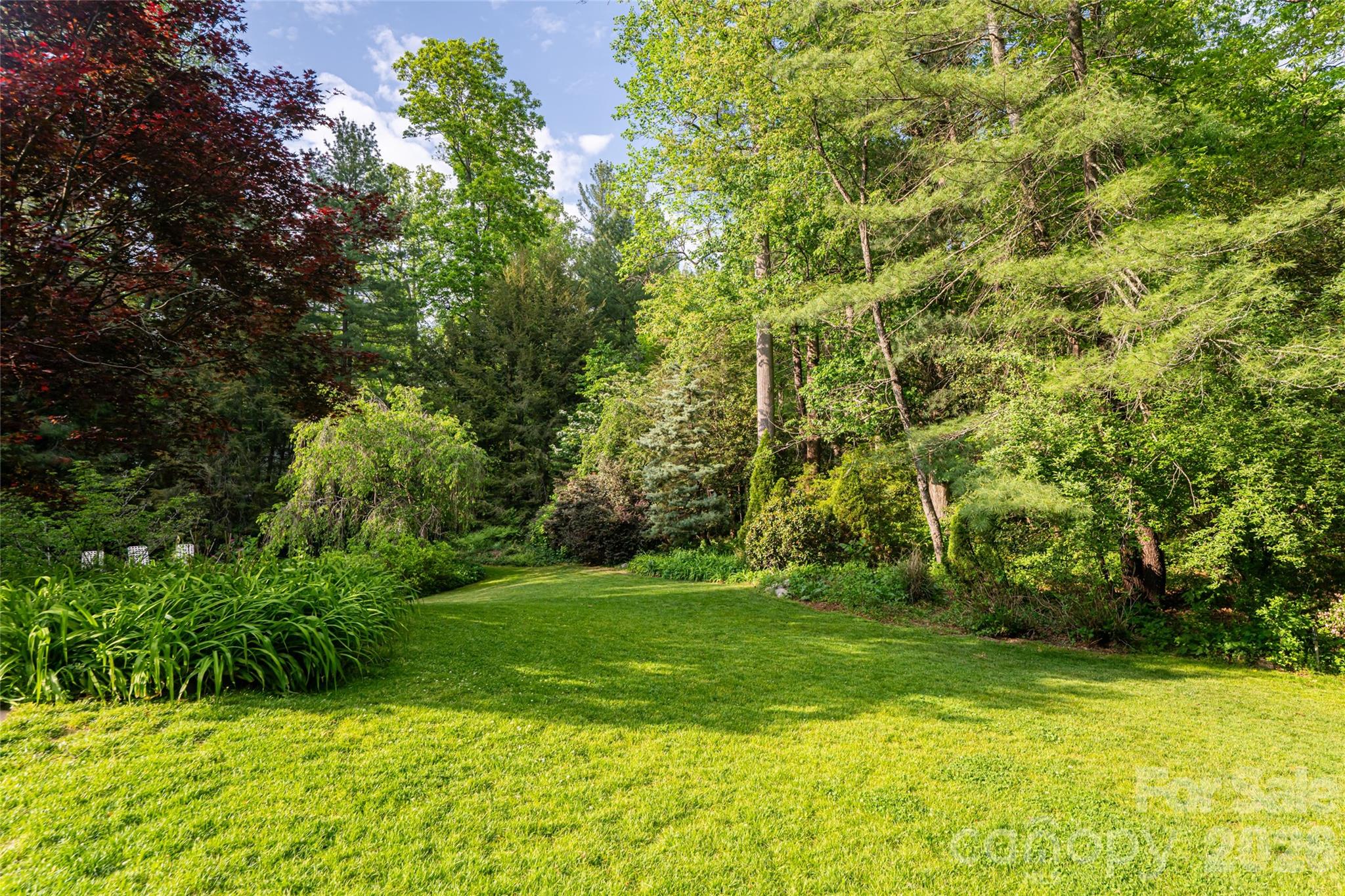 Biltmore Forest - Residential