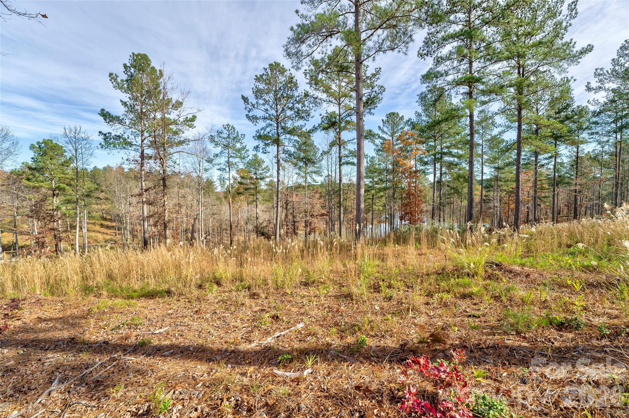 3084 Mount Harvard Court 79