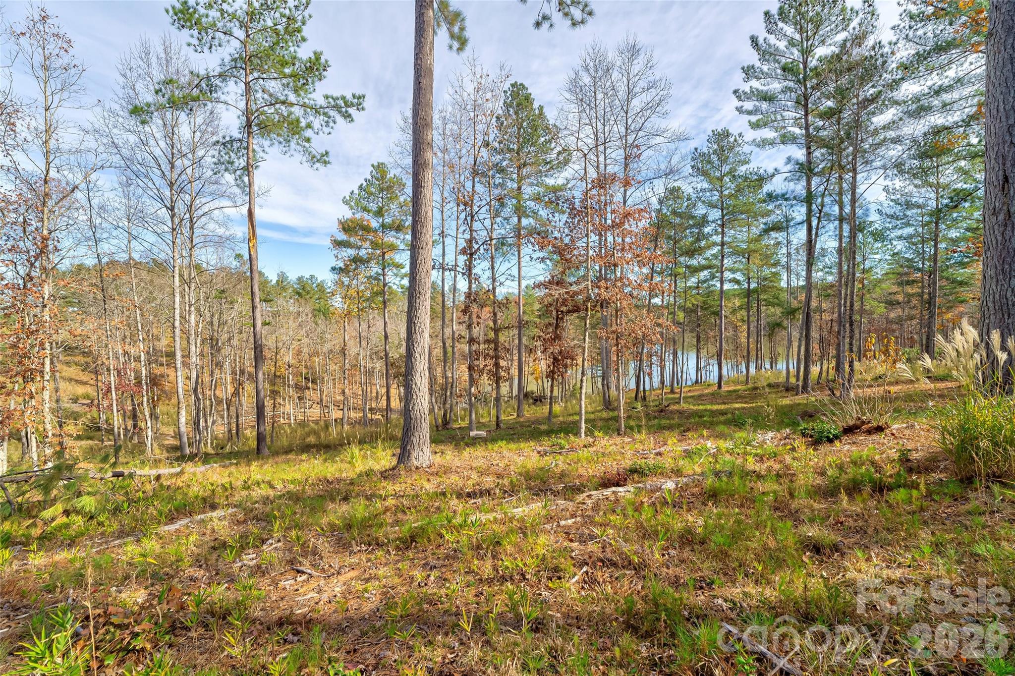 3084 Mount Harvard Court 79