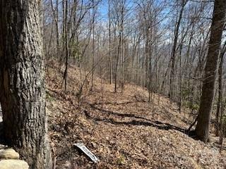 Utah Mountain Estates - Land