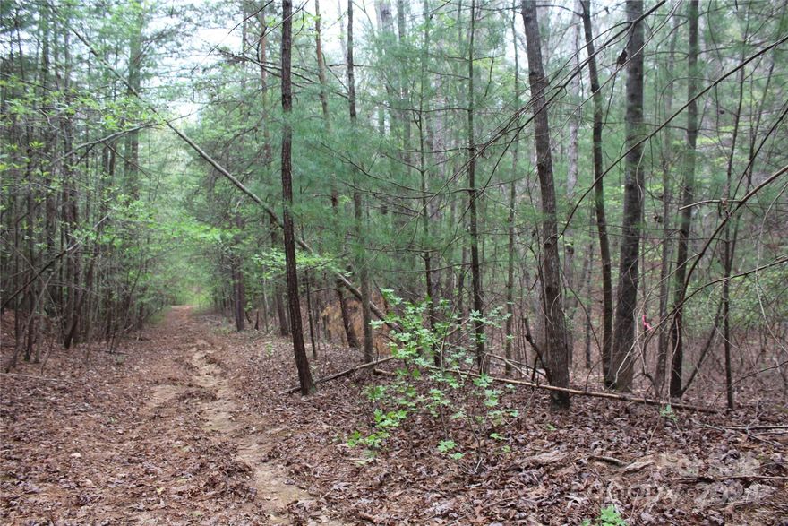 Perfect opportunity to build your dream home on approx. 2.1 private acres just 1 mile from downtown Valdese! This property borders the town of Valdese city limits which makes it a unique opportunity to live just minutes from downtown while staying out of the city limits! Property includes both PID#2733898820 and PID#2733990739.  Property has city sewer running through tract #6 parallel to creek. City water stops at the last house at the end of gravel road. Property would need to have well installed. Wells are permitted outside of city limits. Seller has had the property surveyed and it is clearly marked with pink tape.