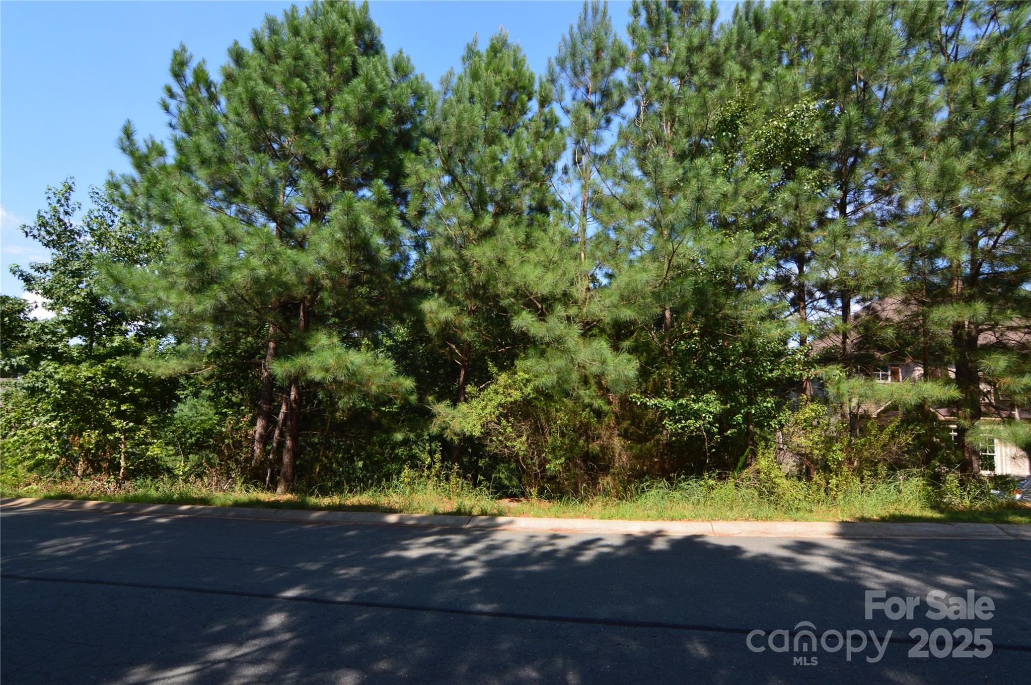 Reflection Pointe - Land