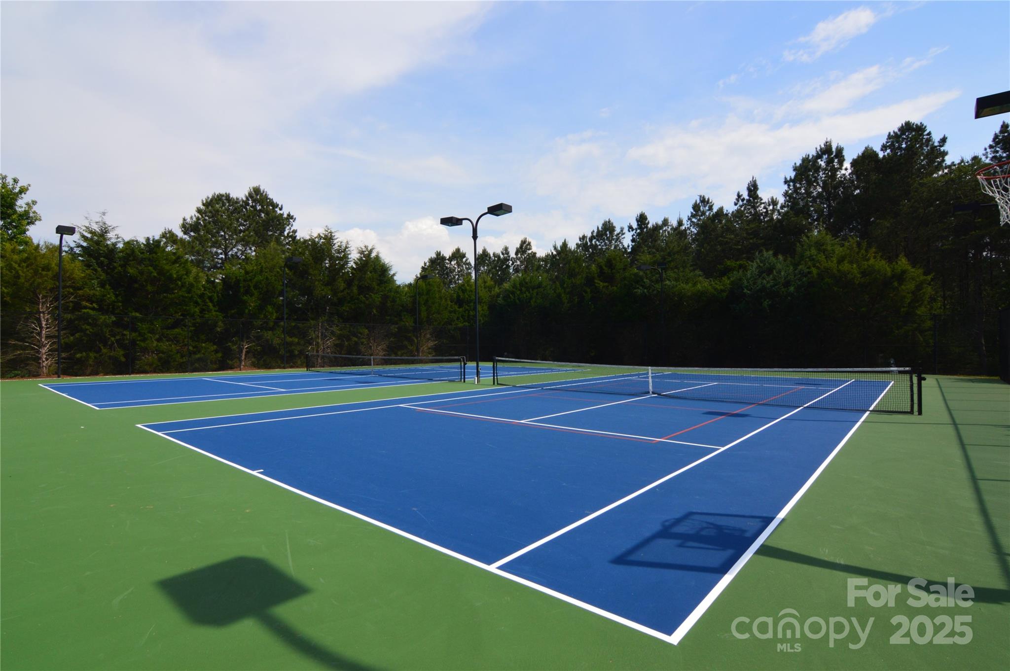 Reflection Pointe - Land