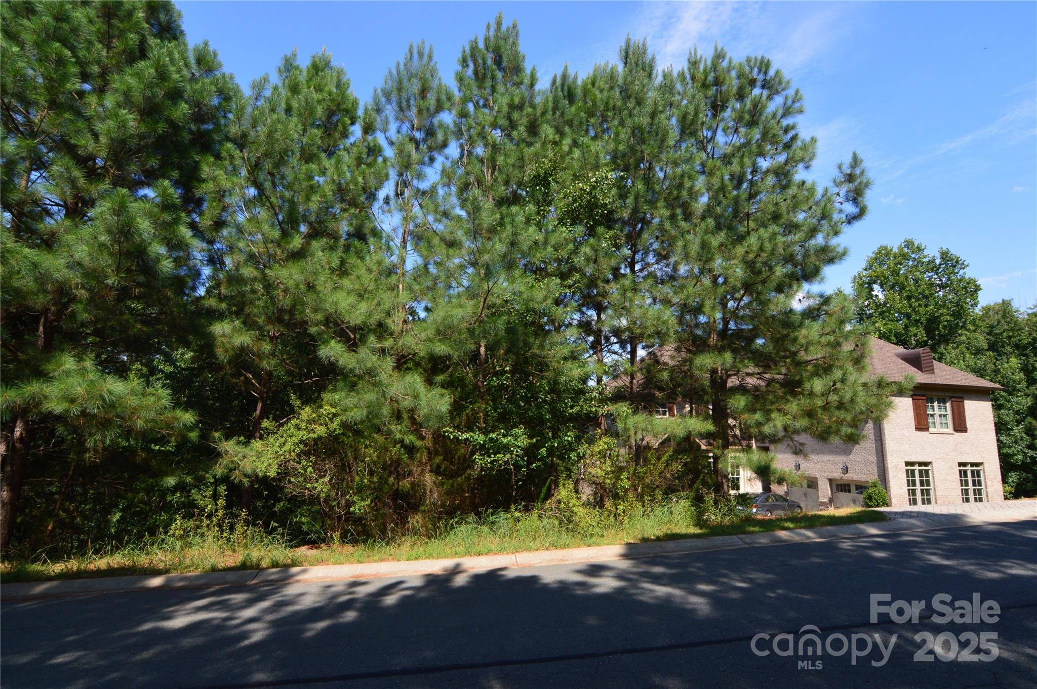 Reflection Pointe - Land