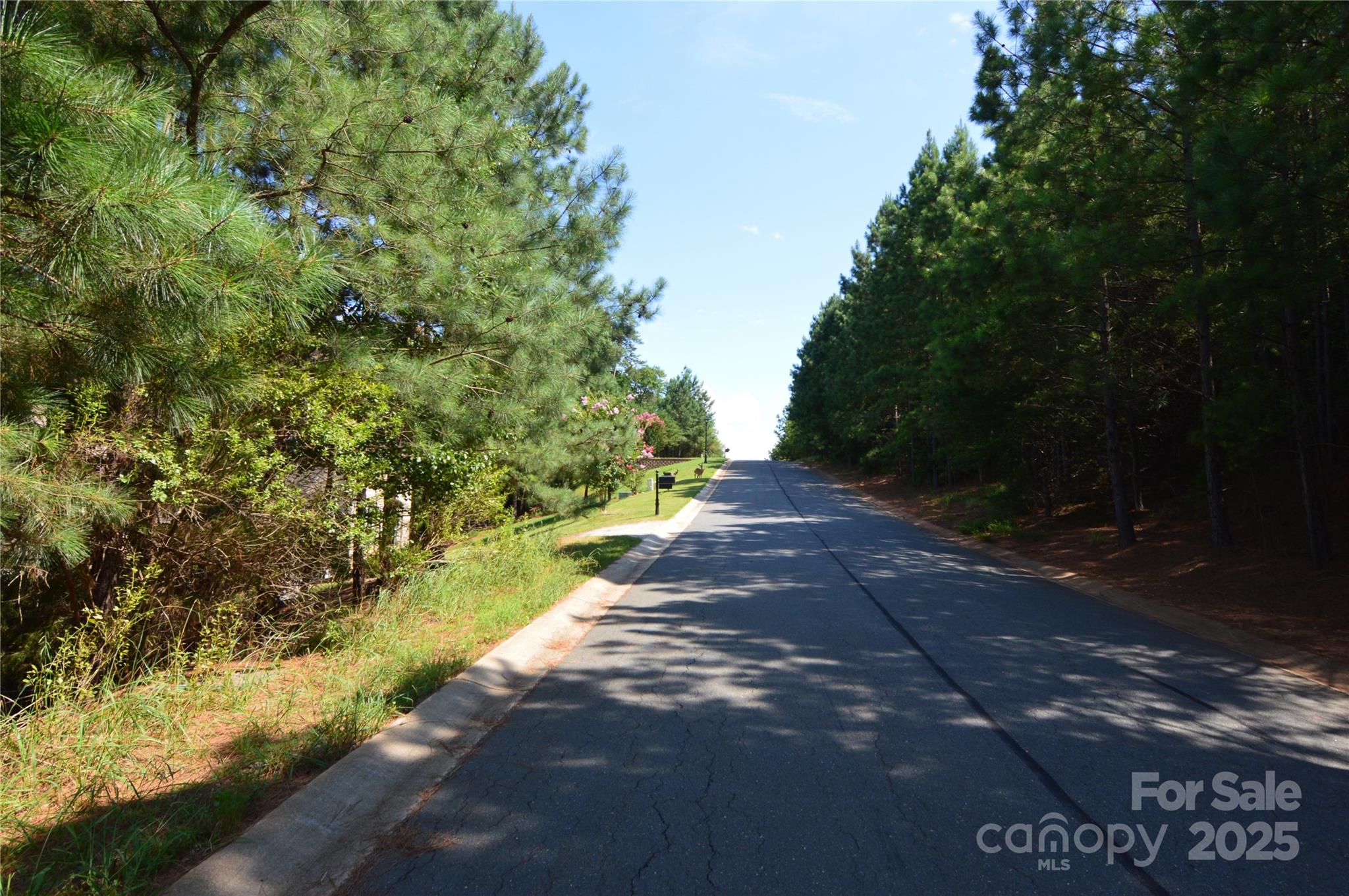 Reflection Pointe - Land