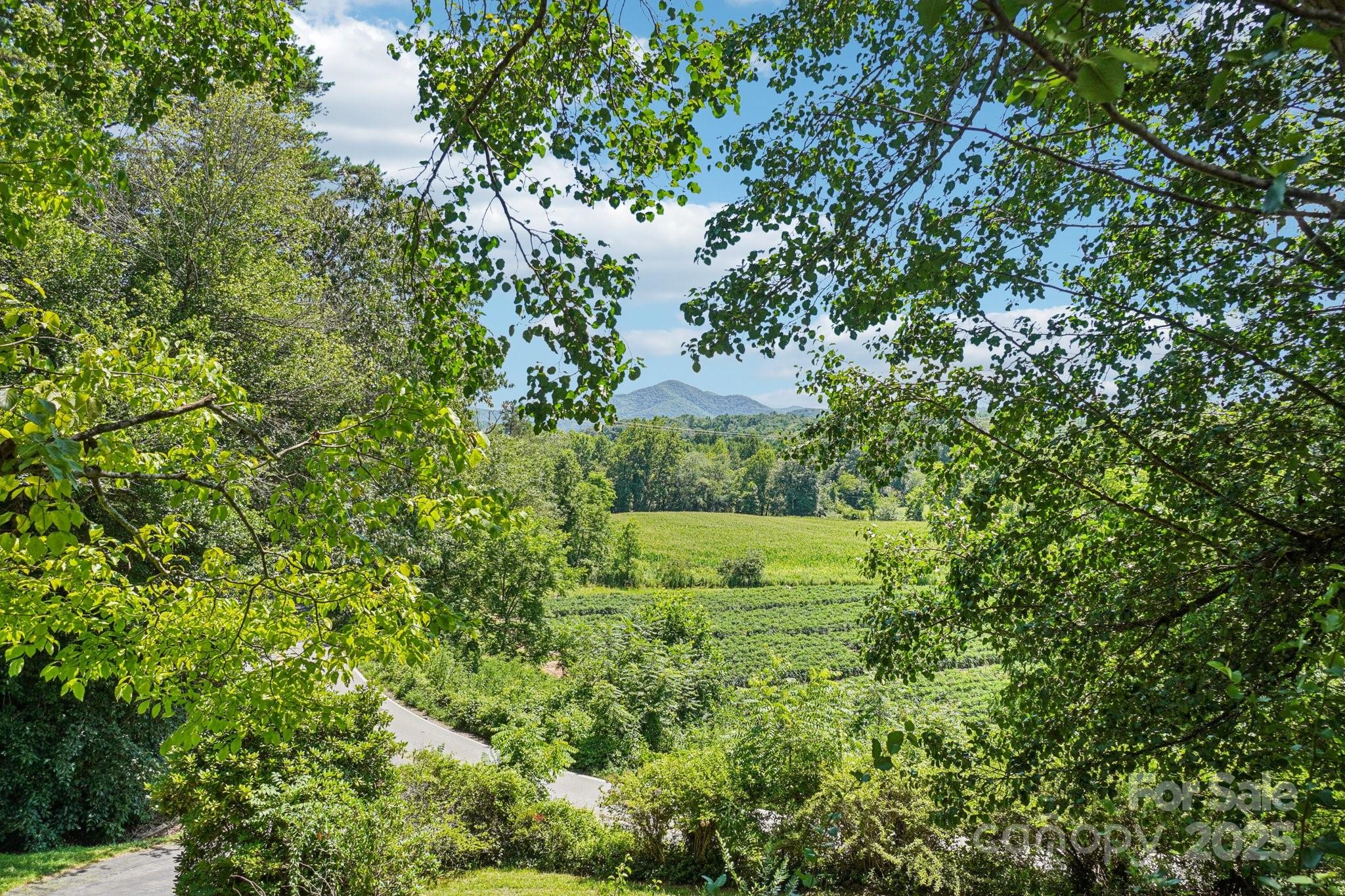 203 Beaverdam Road