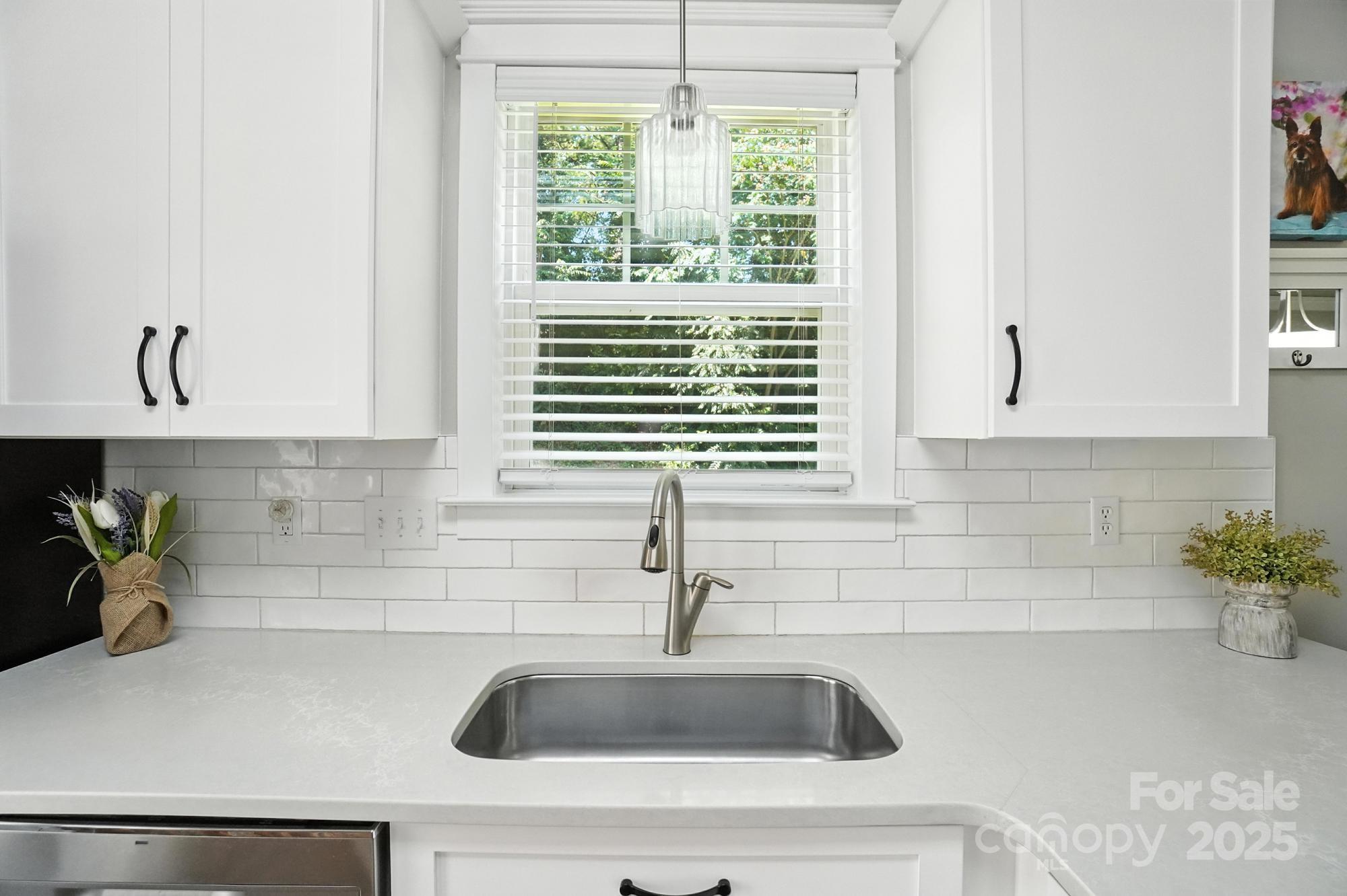 Ballantyne Meadows - Residential