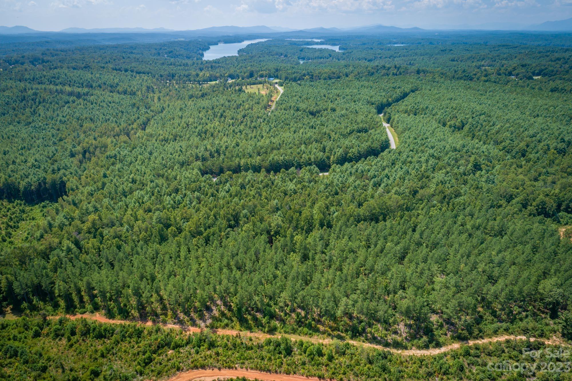 1113 Greene Court 36