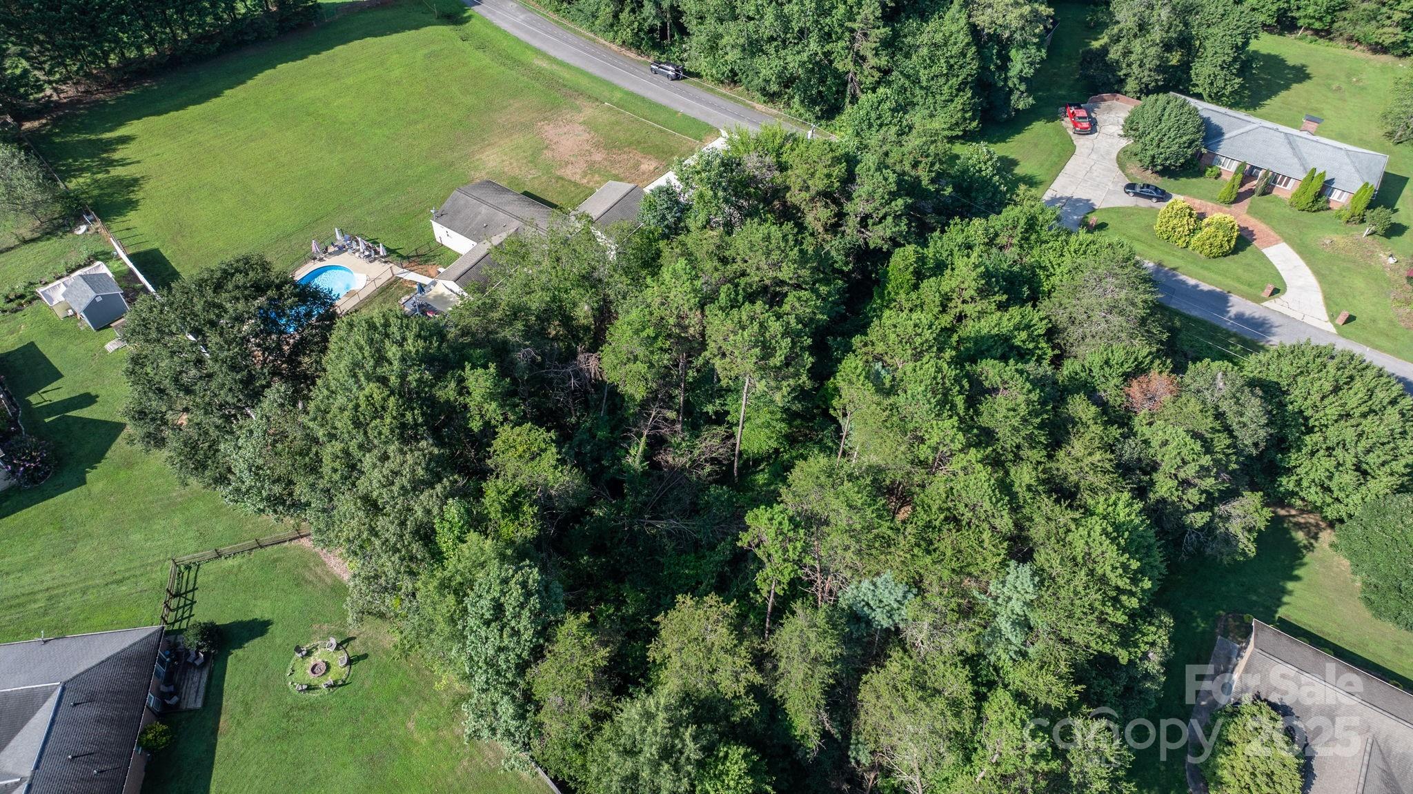 Catawba Forest - Land