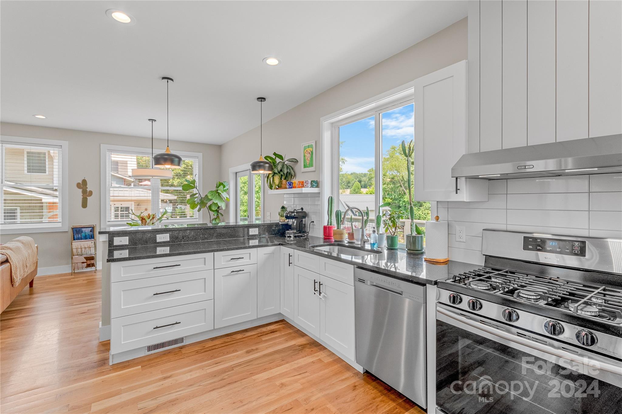 West Asheville - Residential