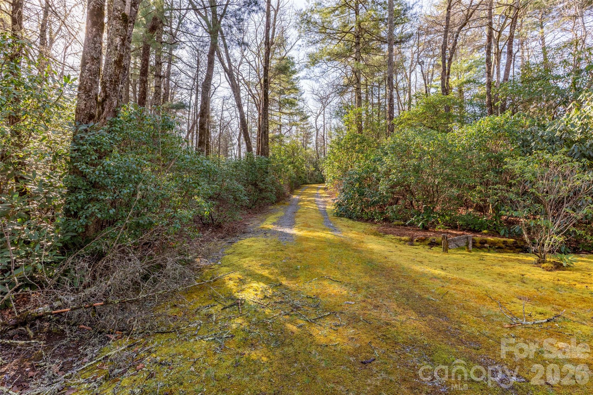Lake Toxaway Estates - Land