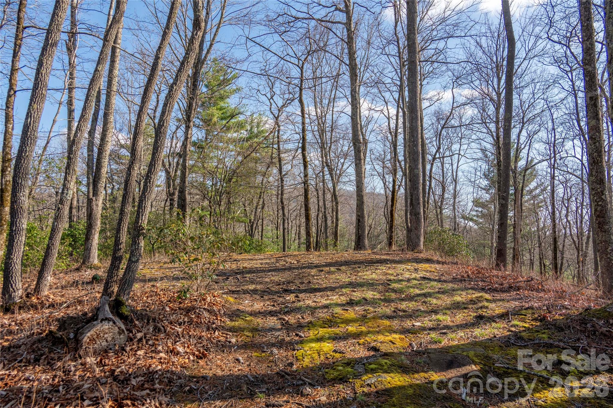 Lake Toxaway Estates - Land