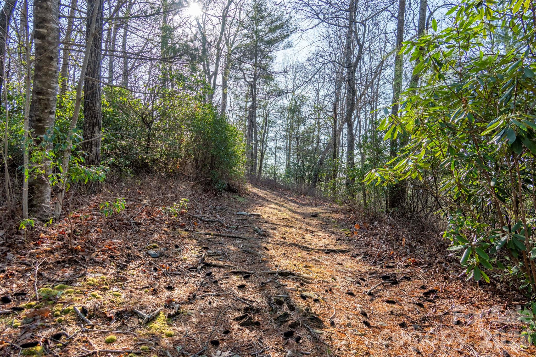 Lake Toxaway Estates - Land