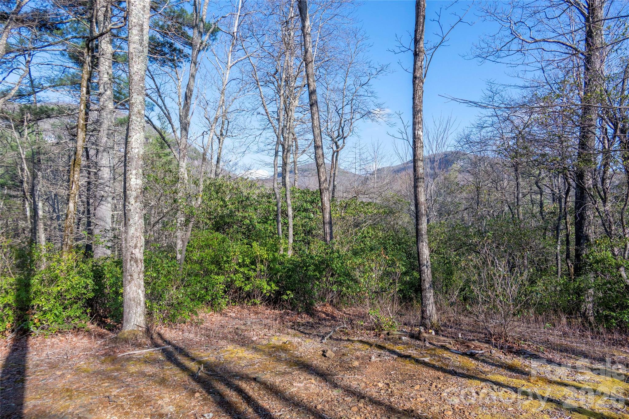 Lake Toxaway Estates - Land