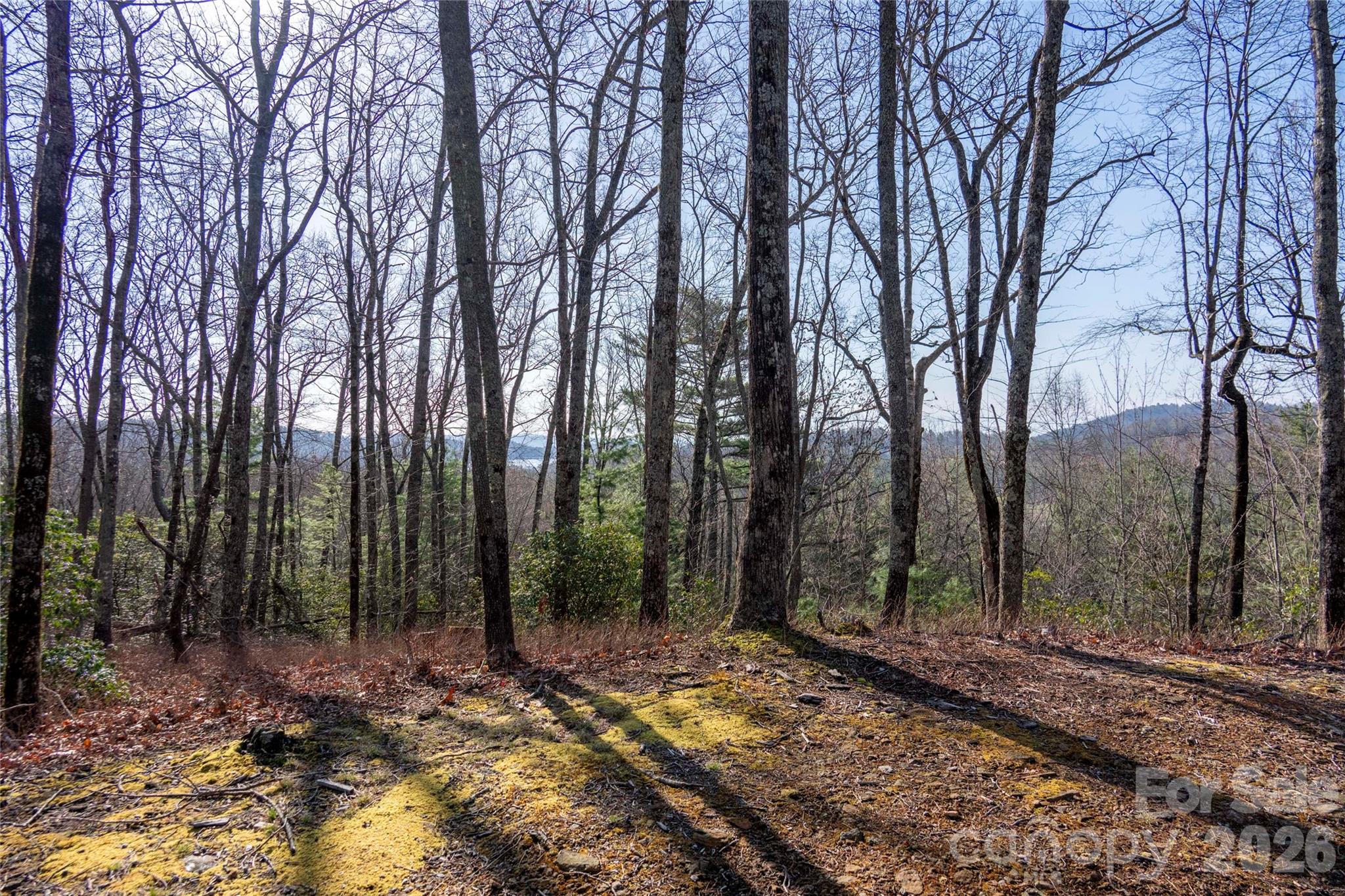 Lake Toxaway Estates - Land