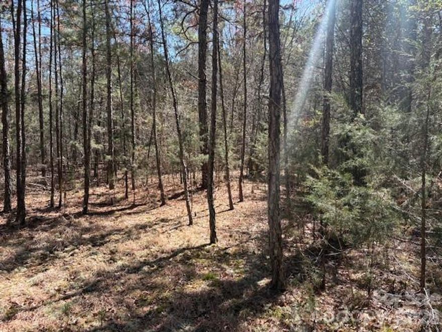 Secluded 5.5 acreage in Harrisburg. Wooded tract. Private 60' right of way access. No utilities. Great building site. Lots of potential. 100' road frontage.
