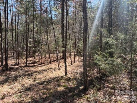 Photo of 7350 Paul Linker Place, Concord, NC 28025 (MLS # 4357142)