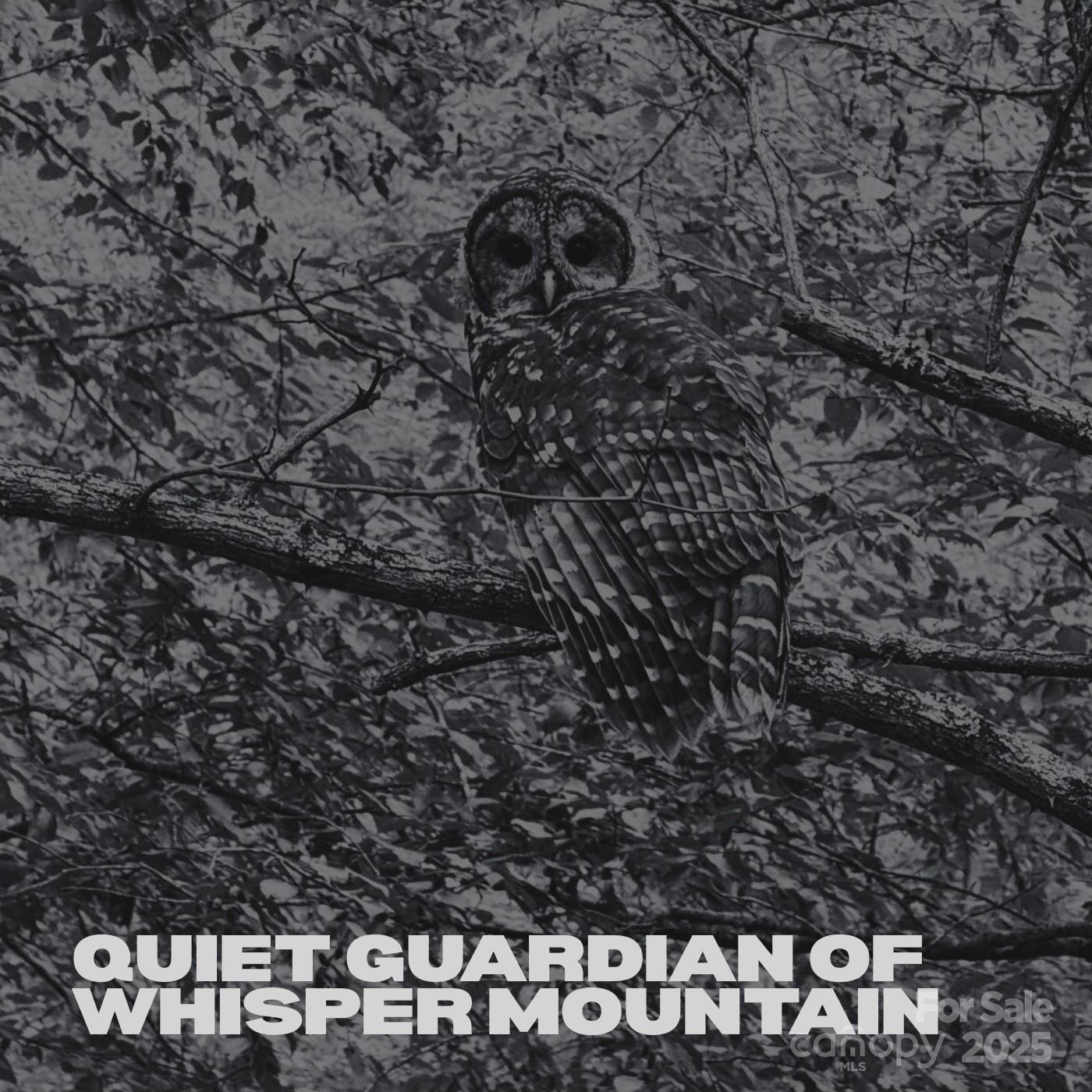 Whisper Mountain - Land