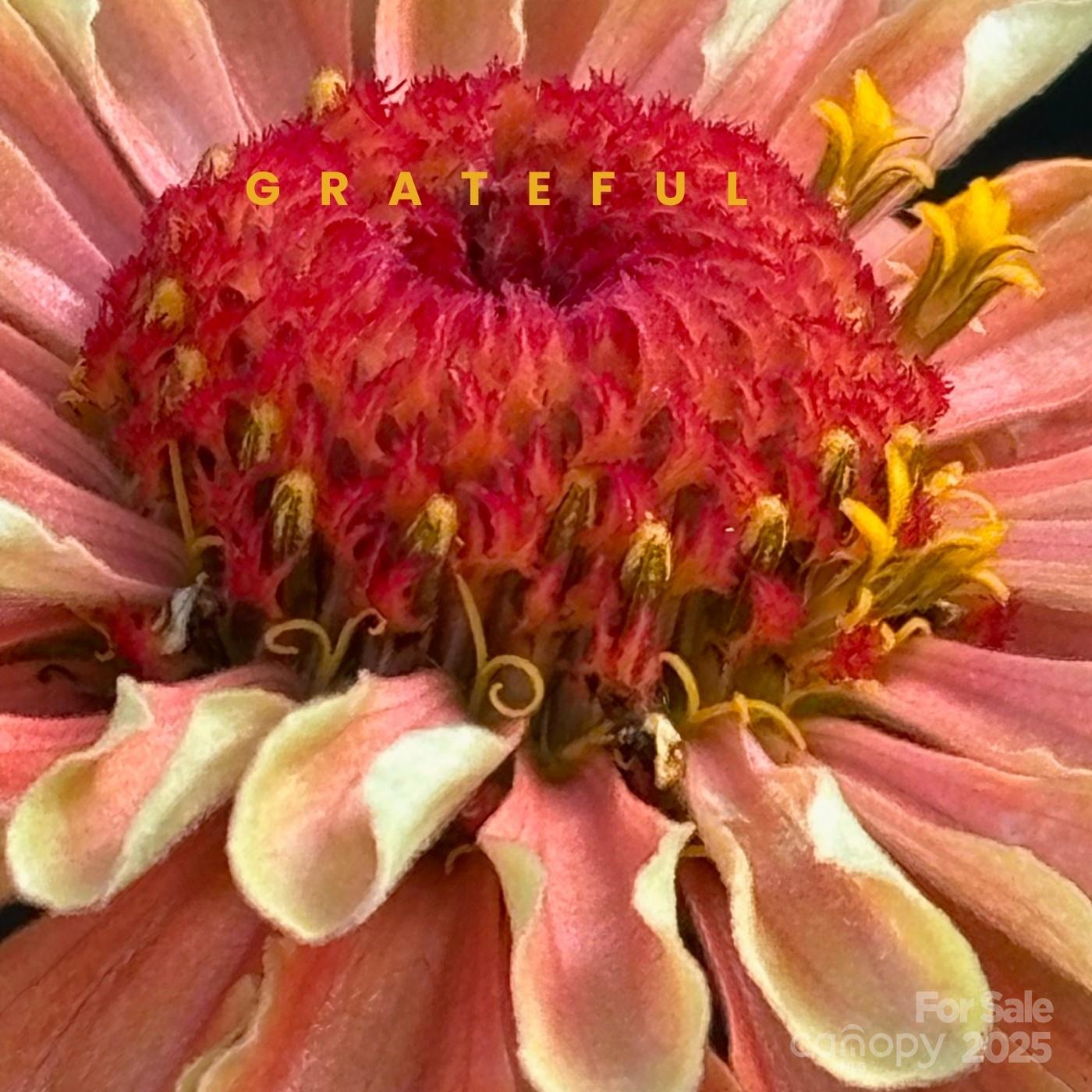 Whisper Mountain - Land