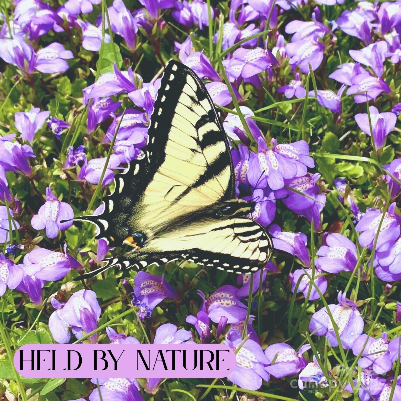 Whisper Mountain - Land