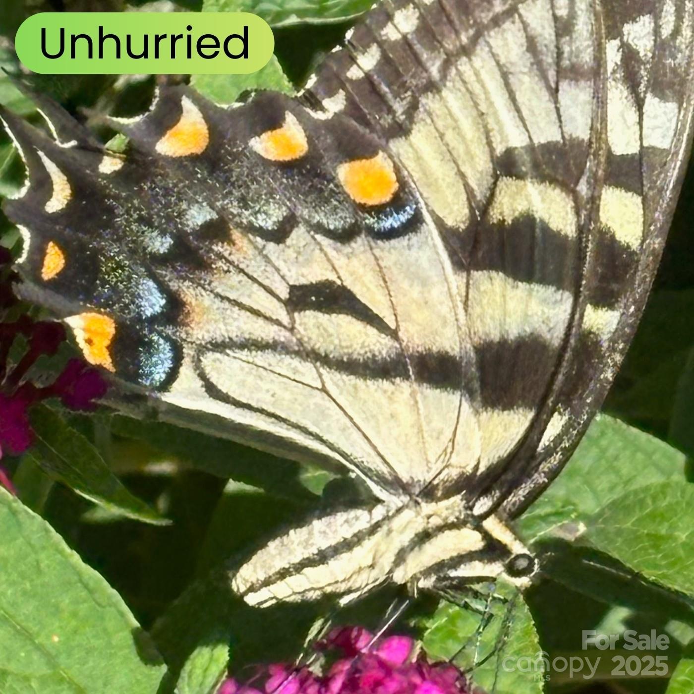 Whisper Mountain - Land