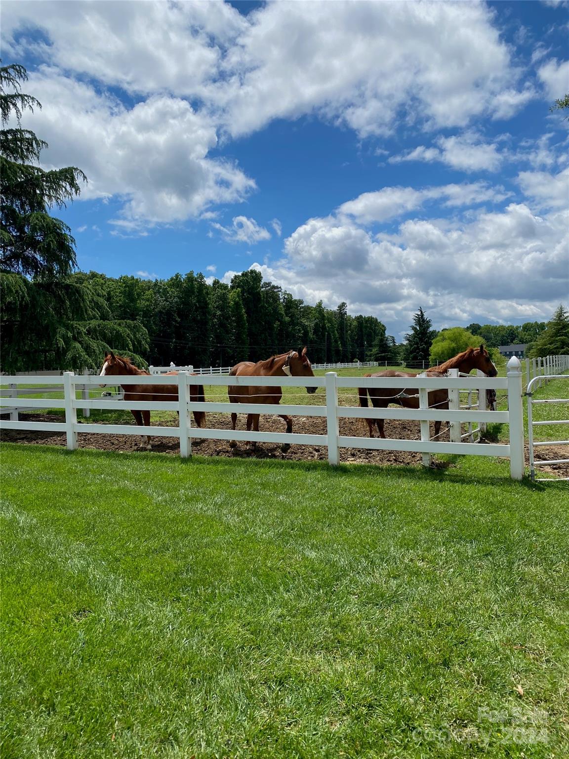 Bonterra - Residential