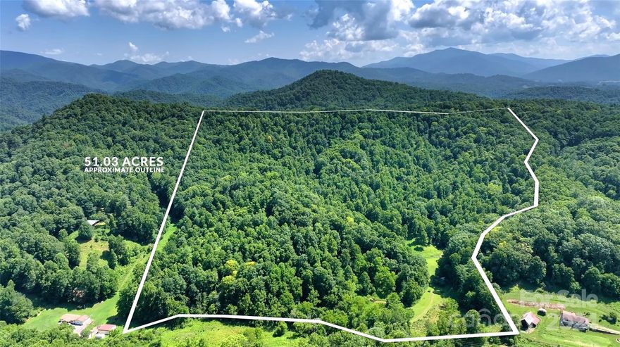 51.35 +/- UNRESTRICTED acres very near the gorgeous Toe River, featuring manicured fields and trails, mature trees, abundant wildlife, a springbox system and a springfed creek. Power already to the graded homesite makes this one build-ready -- bring your plans for your dream home and make them a reality!  More great spots for building on the other side of the parcel, making it ideal for a multi-family compound or ecotourism.  The flat field next to the creek has rich soil and is ideal for gardening, fruit trees or livestock!  Bring your hiking boots or horses and explore the many great trails on this parcel from creek to peak, with more adventures to be had in the nearby Pisgah National Forest. Create your dream homestead and work from home with multiple high speed internet options, or make it a peaceful place to beat the summer heat. Burnsville's grocery stores, restaurants, galleries and shops are only 20 minutes away, and Asheville's many amenities are about an hour's easy drive.