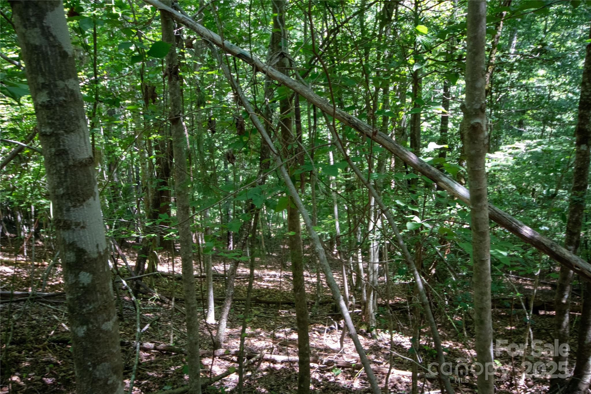 LOT 112 Stoney Brook Drive 112