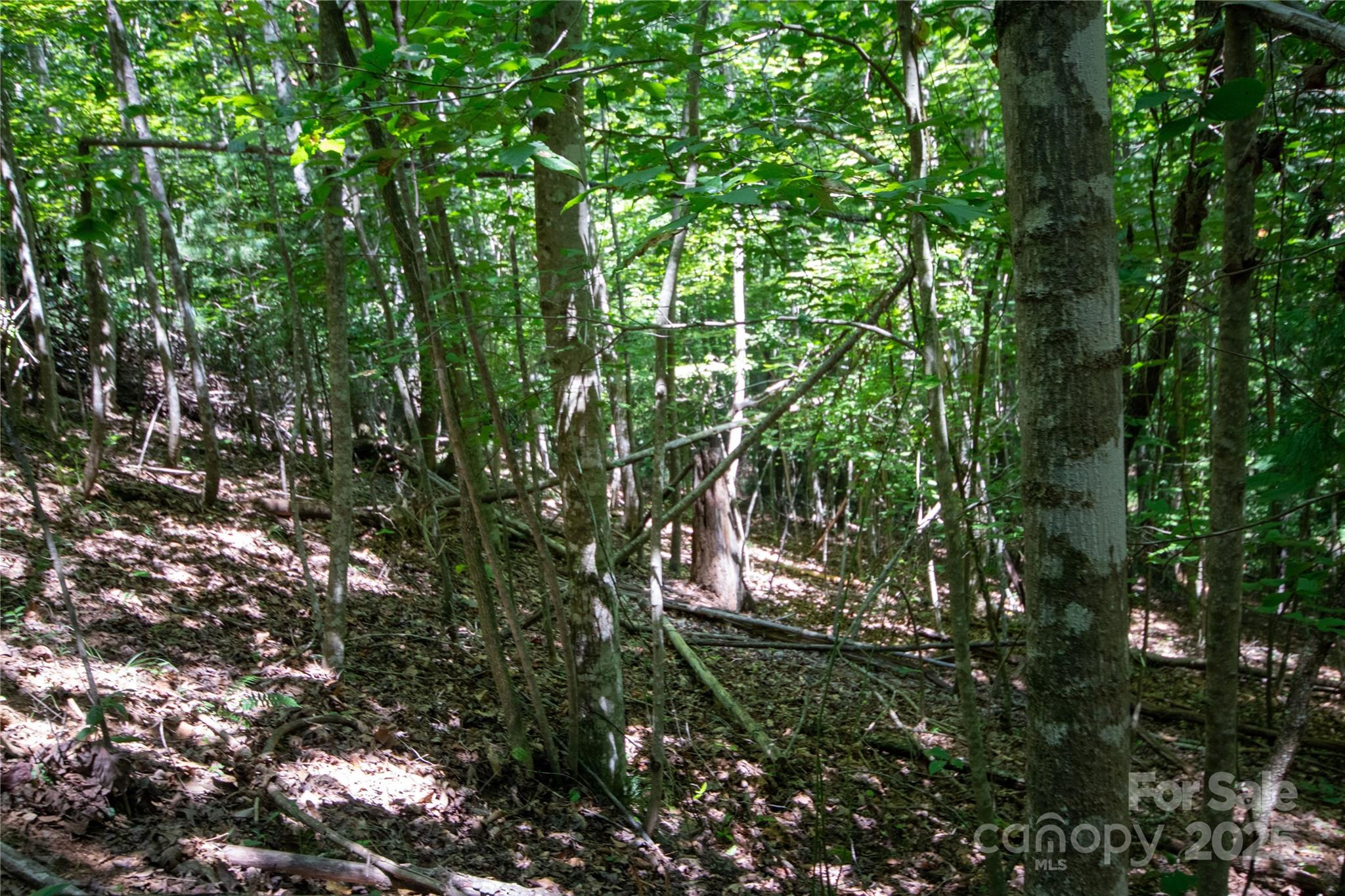 LOT 112 Stoney Brook Drive 112