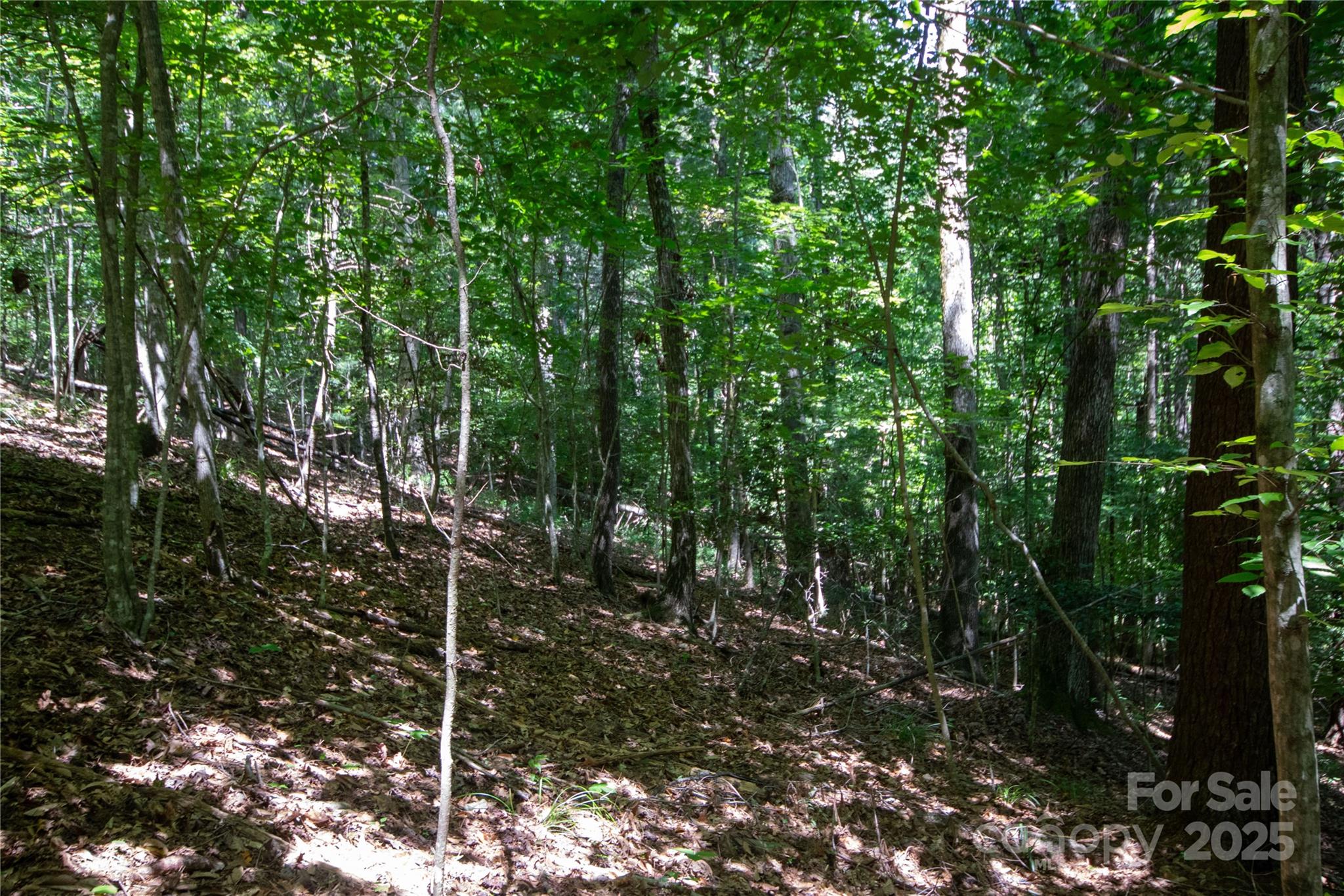 LOT 112 Stoney Brook Drive 112
