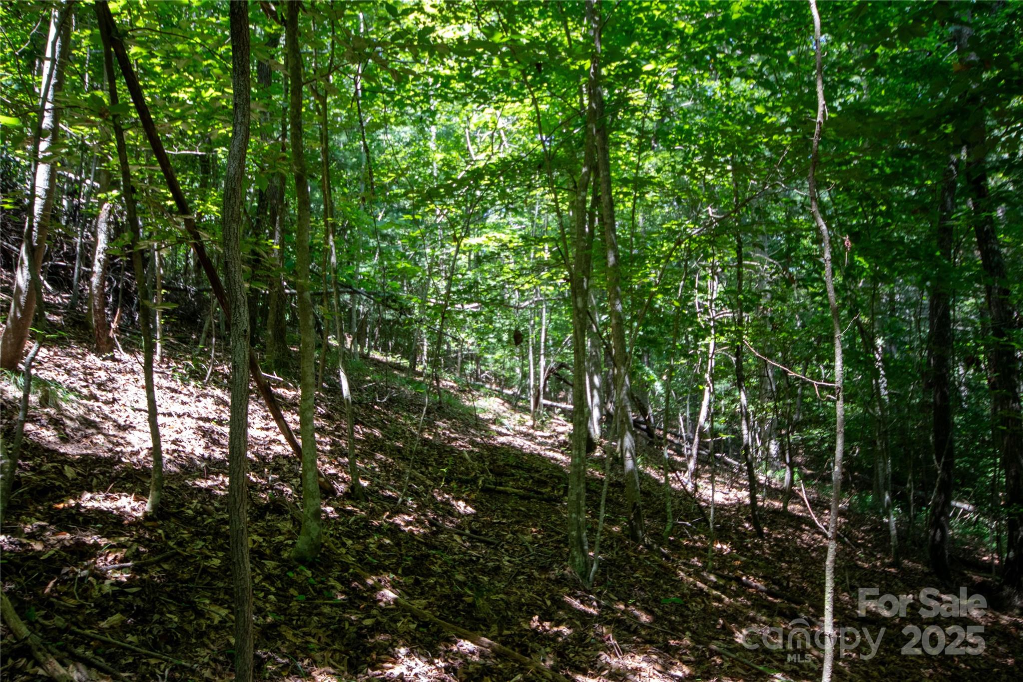 LOT 112 Stoney Brook Drive 112