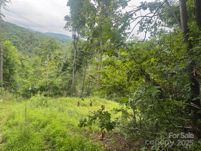 000 N Satellite Mountain Road N