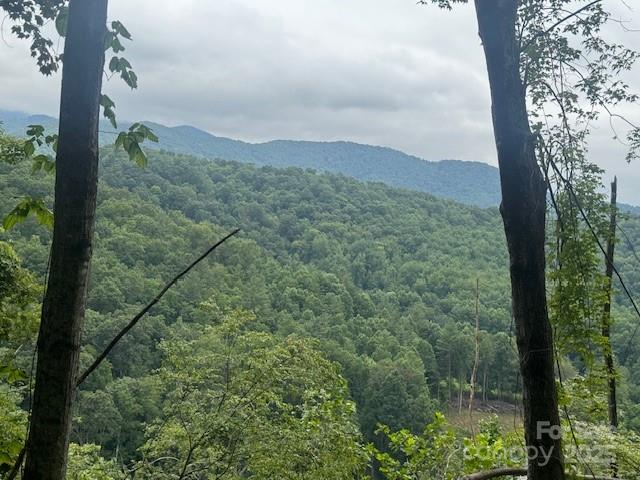 000 N Satellite Mountain Road N