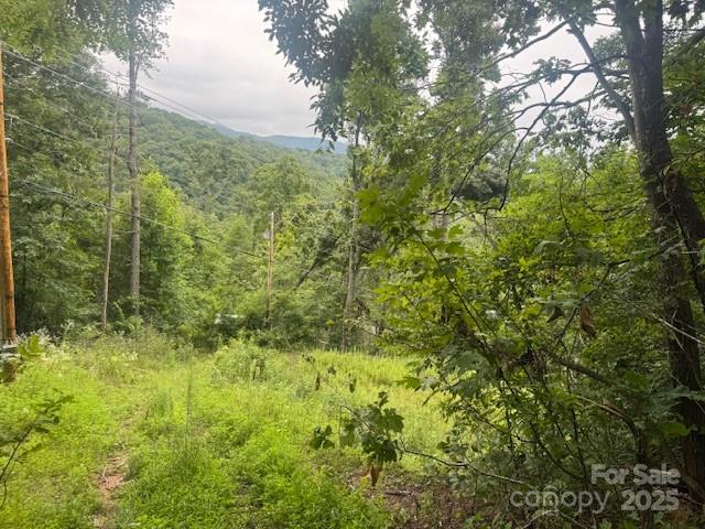 000 N Satellite Mountain Road N