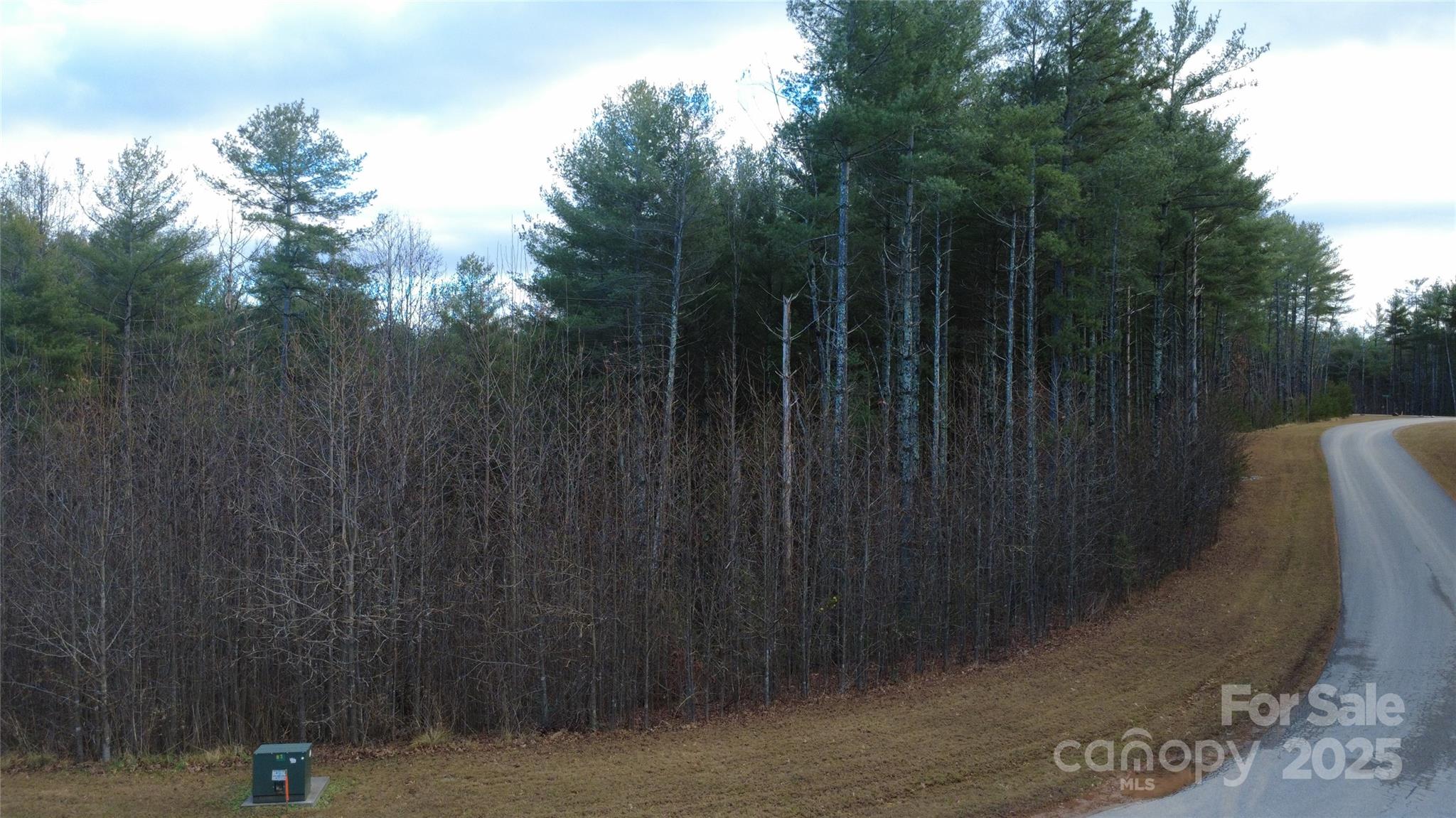 Photo 1 of 24 — 597 Peninsula Reserve Road 34, Nebo, NC 28761
