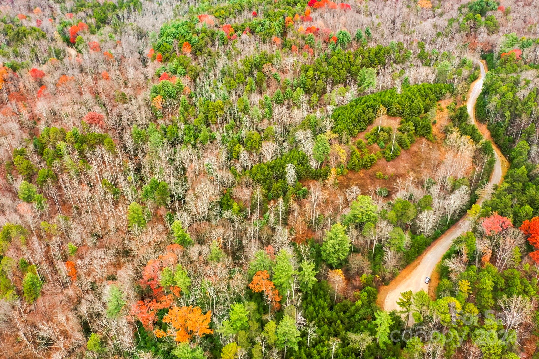 0 Wheel Team Trail S 49