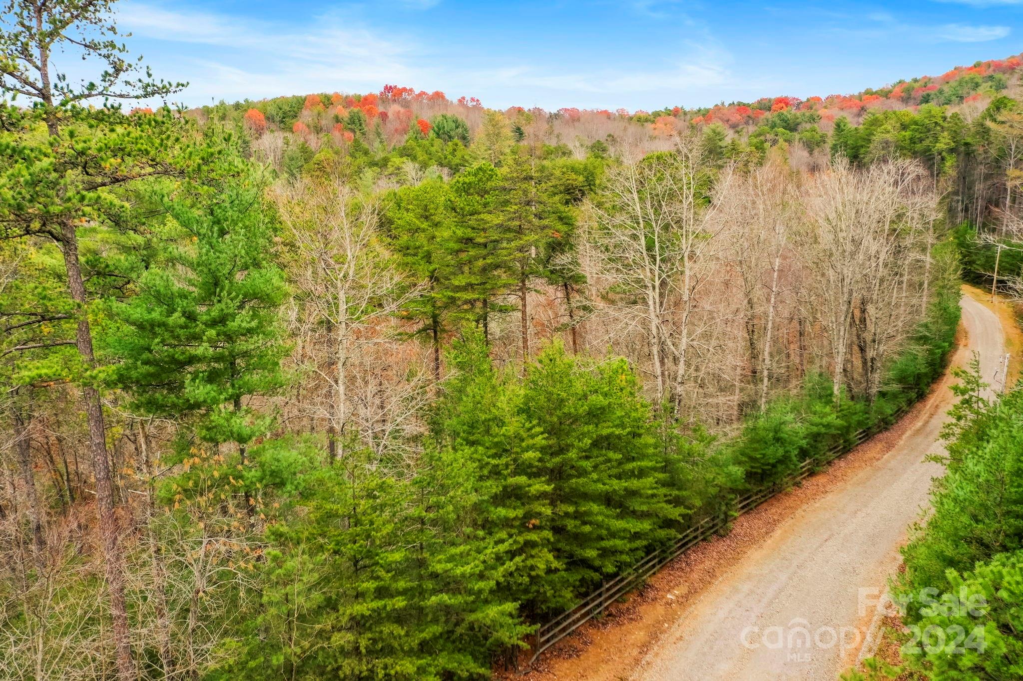 0 Wheel Team Trail S 49