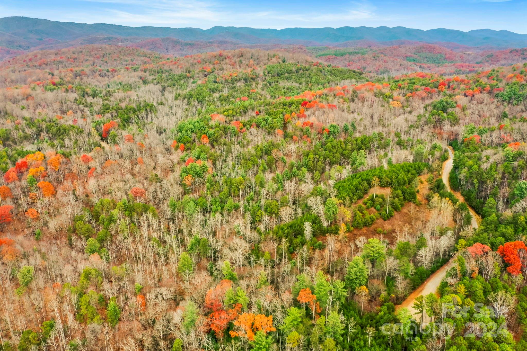 0 Wheel Team Trail S 49