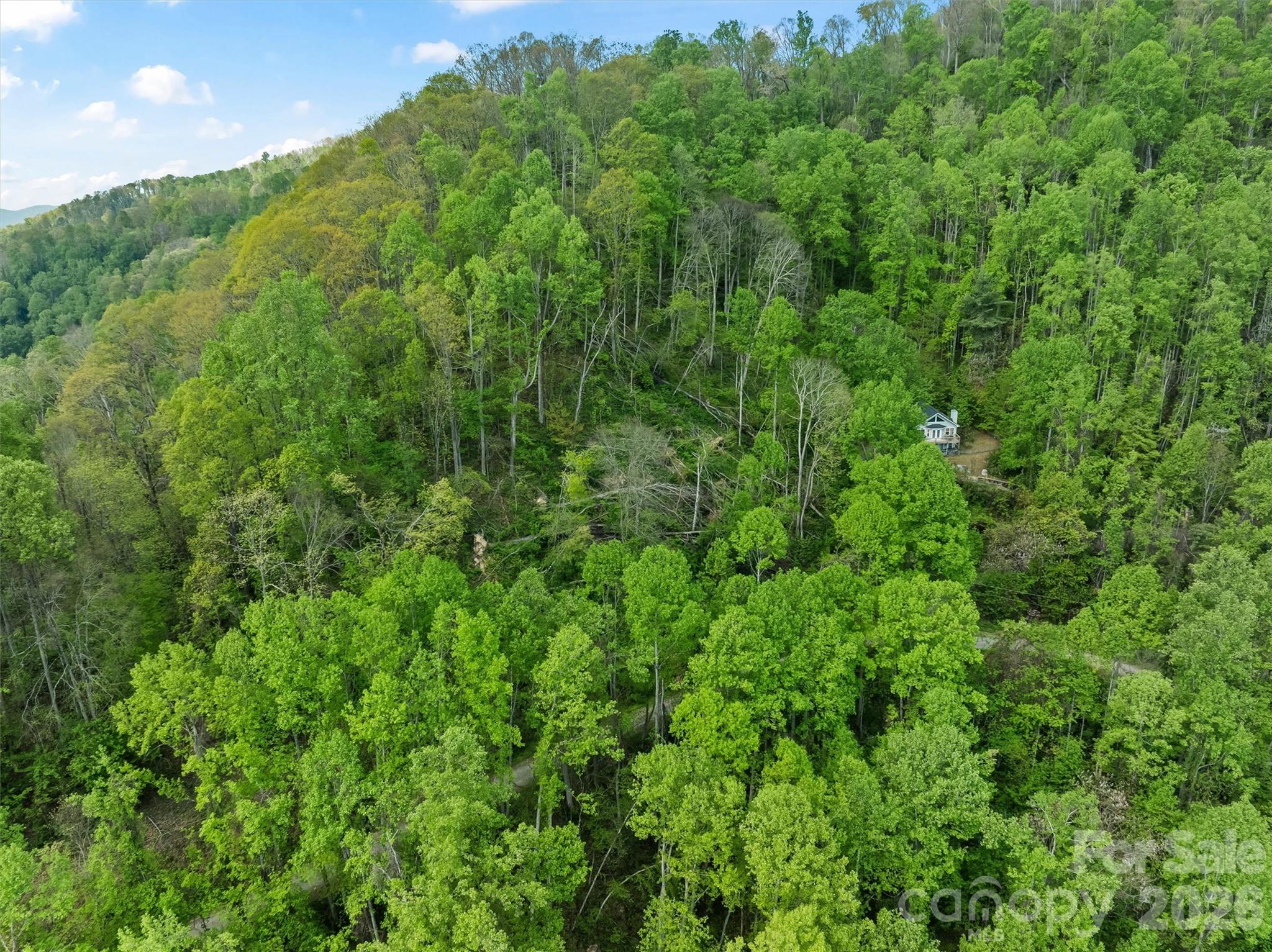 Greenridge Falls - Land