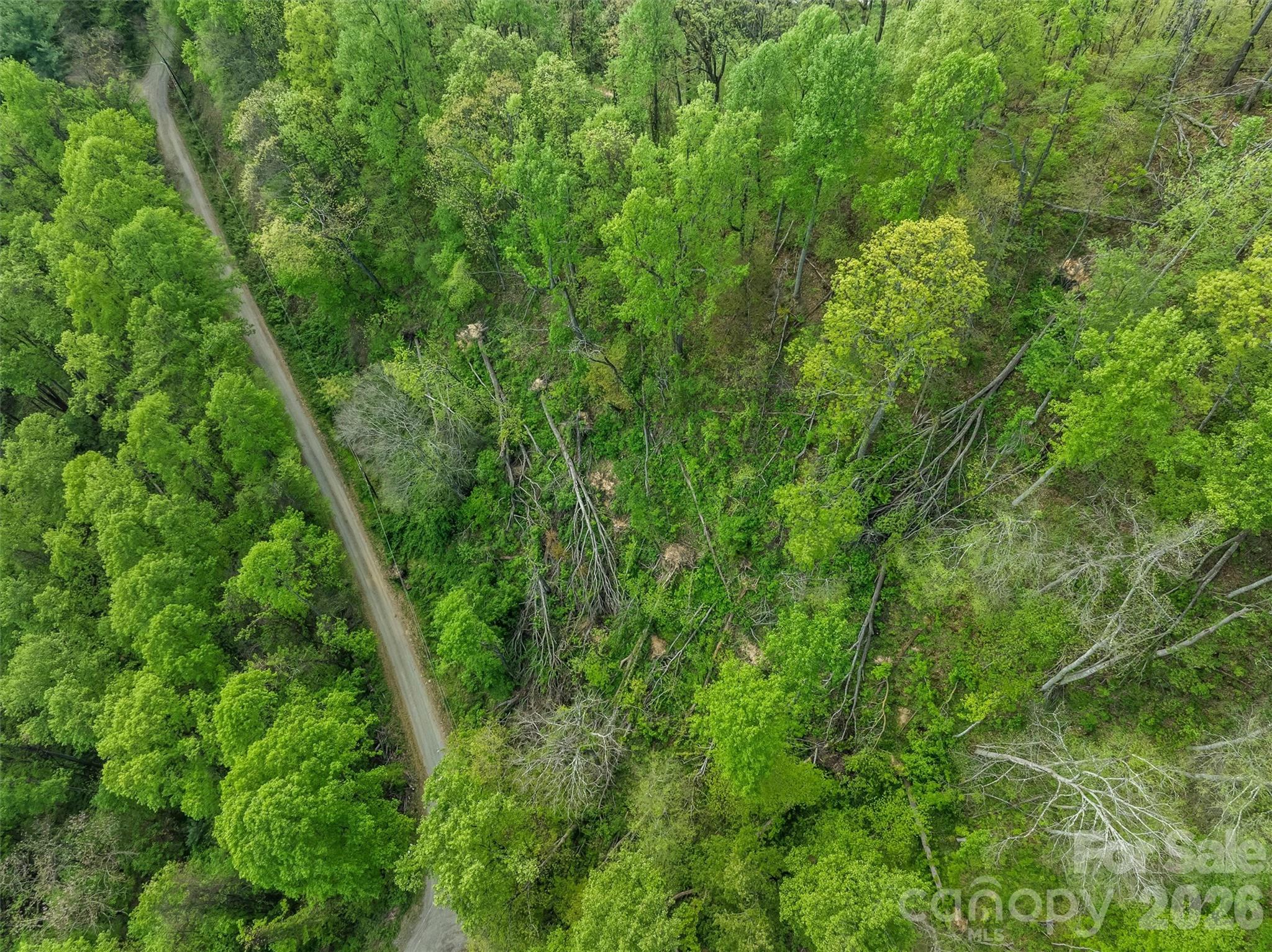 Greenridge Falls - Land