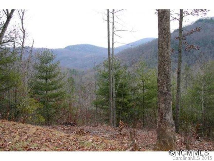 LOT LIQUIDATION...........fantastic owner financing on these 1 to 2 acre tracts with beautiful mountain views, paved roads and underpower power! Just minutes outside Hendersonville and Lake Lure. Hurry for the top choices! Priced from $21,500!