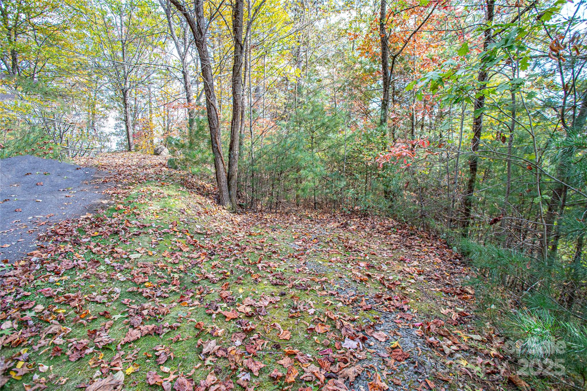 TBD High Point Trail 24