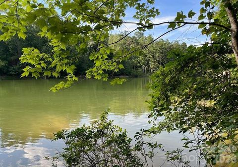 00 Canoe Drive 44 Mill Spring NC 28756