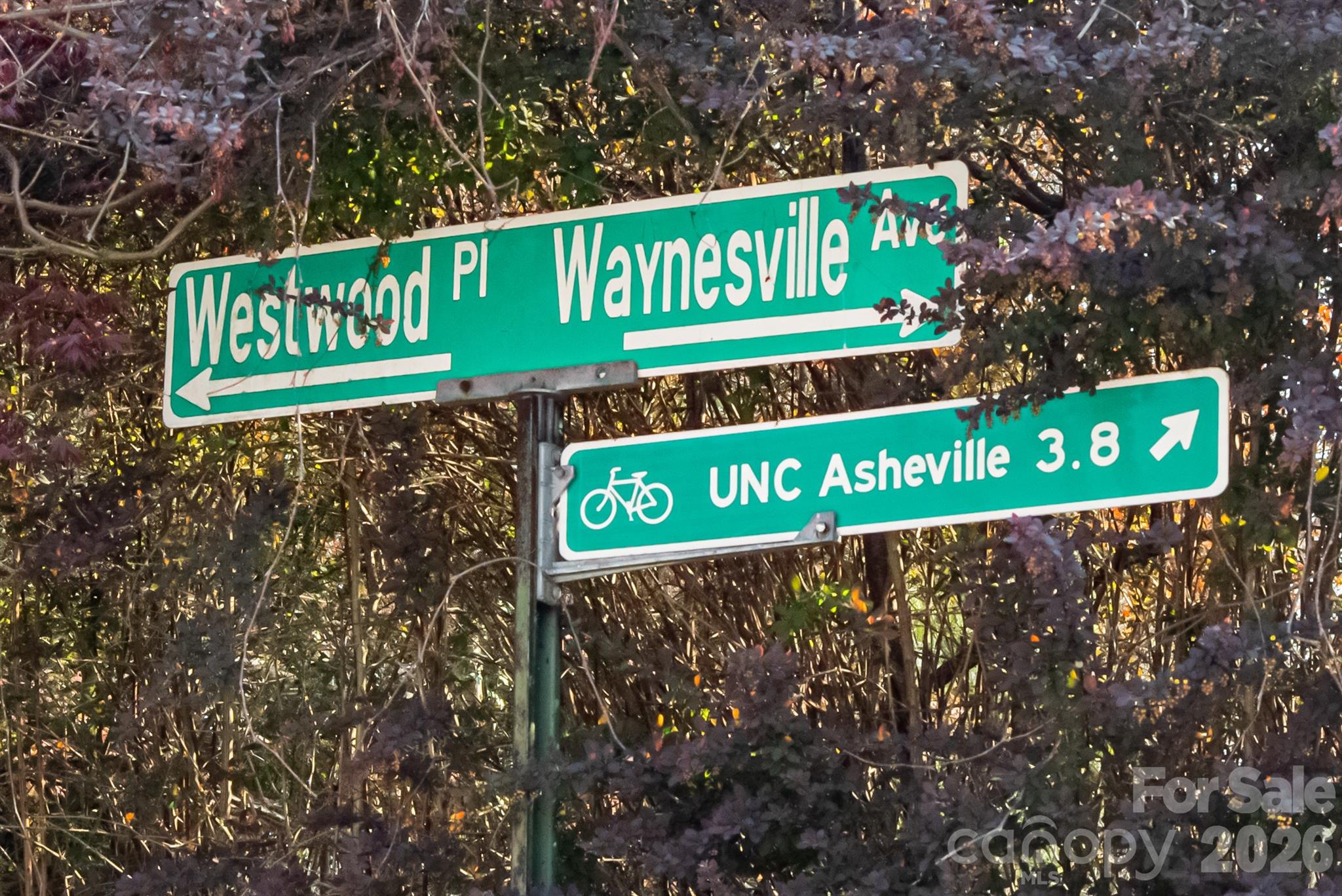 11 Westwood Place