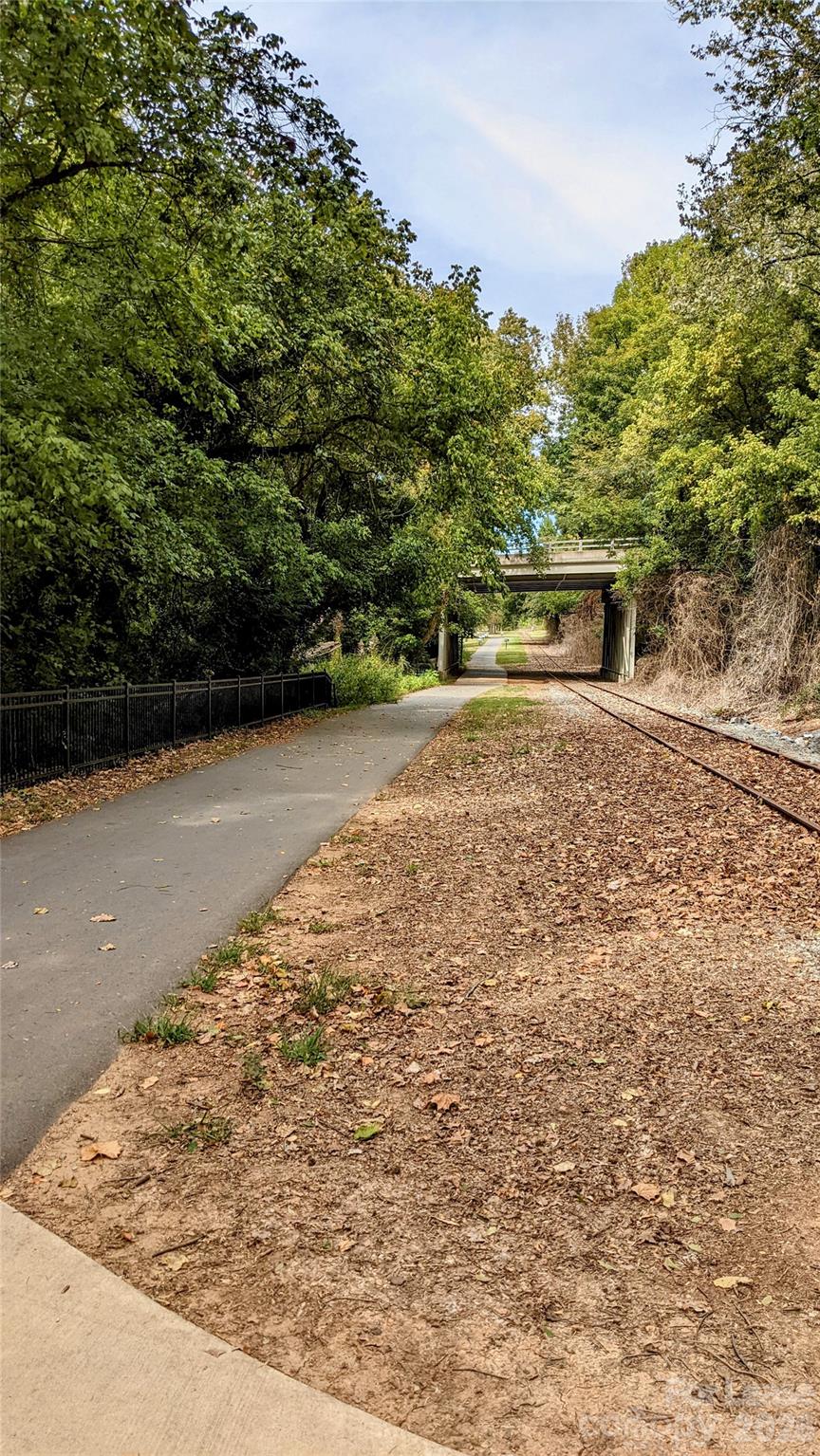 Celadon - Residential Lease