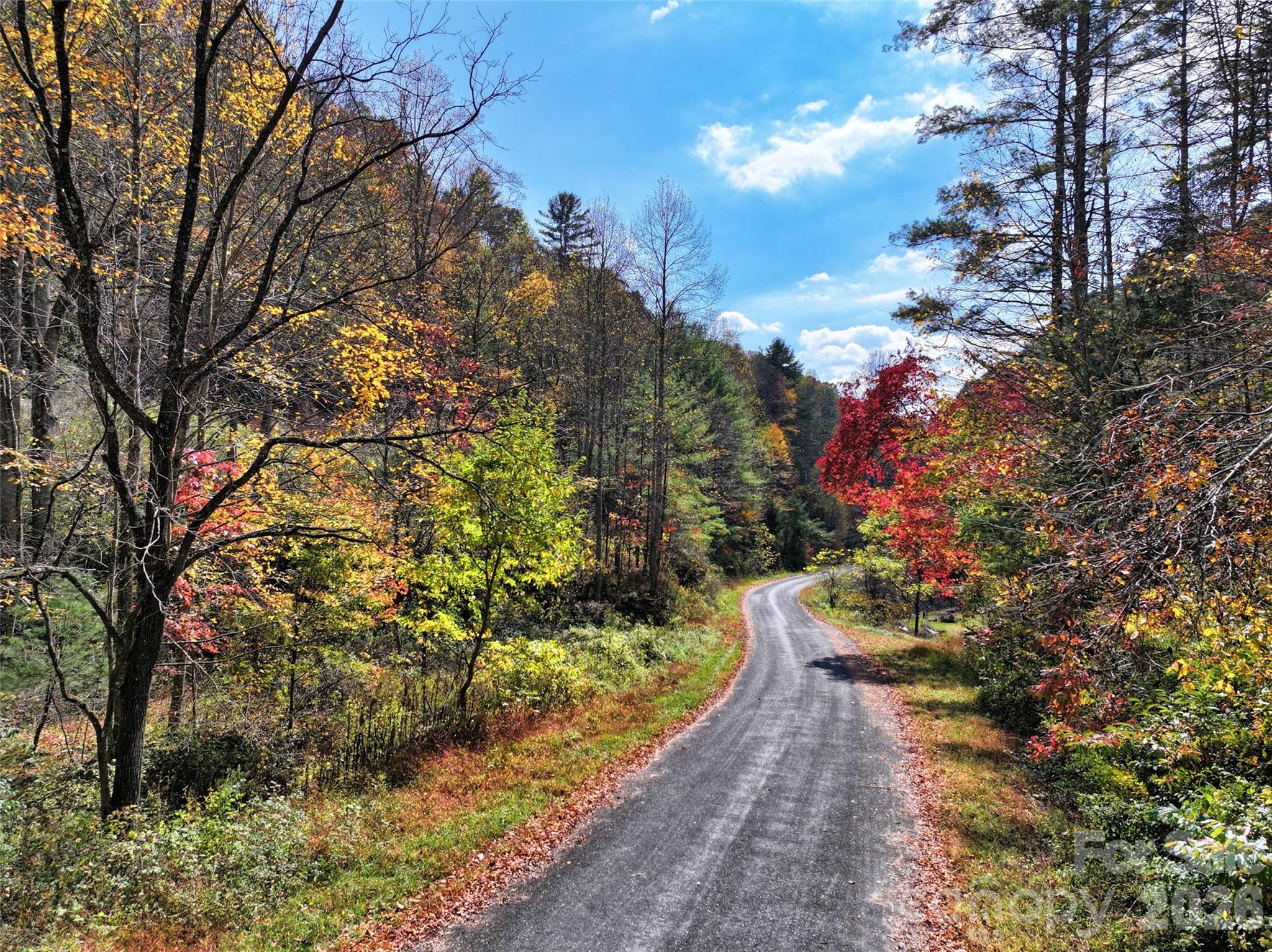 366 Renfro Road, Green Mountain, NC, 28740