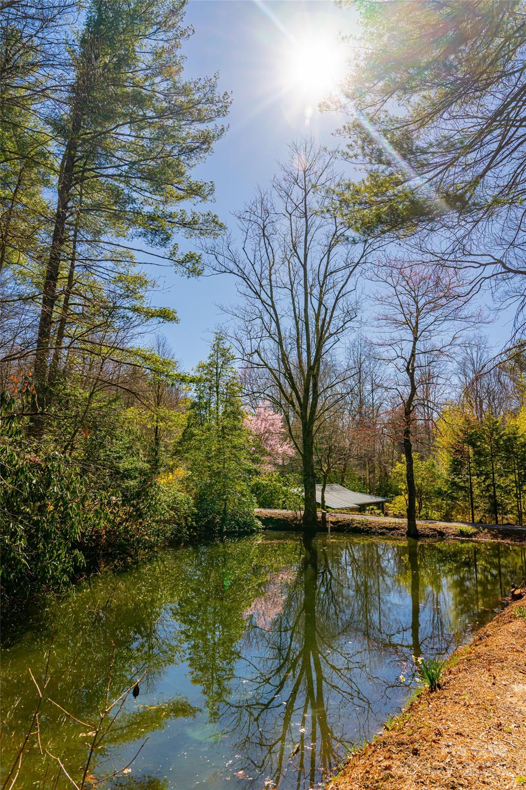 Sugar Hollow - Residential